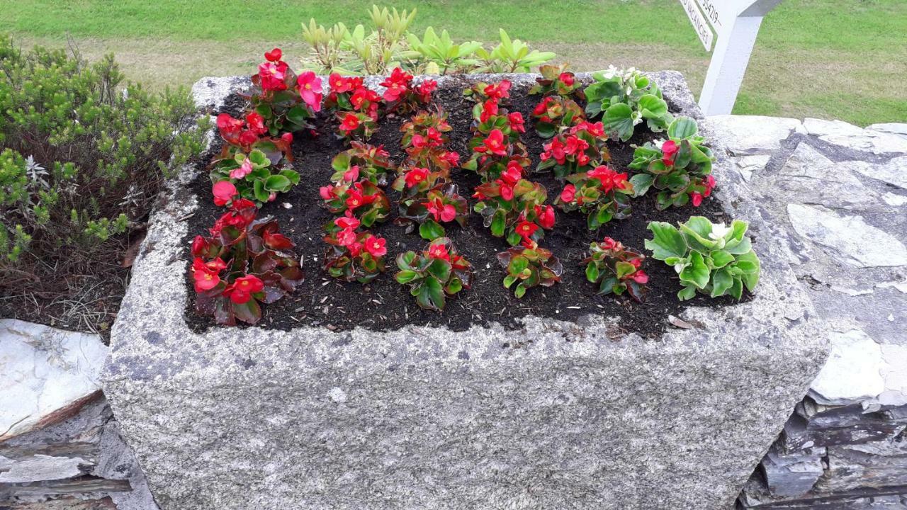 Bed and Breakfast Melorne Farm Camelford Esterno foto