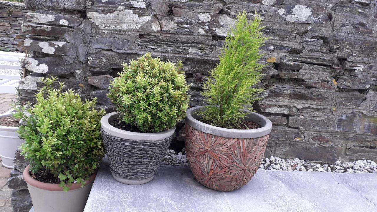 Bed and Breakfast Melorne Farm Camelford Esterno foto